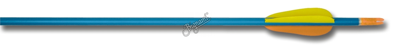 FRECCIA - marca BIG FUN LINE - modello FRECCIA ALLUMINIO 1616 29