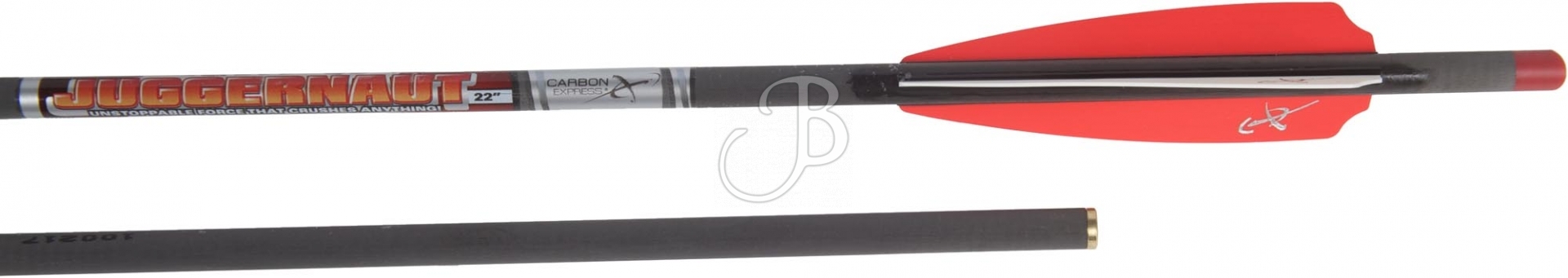 DARDO - marca CARBON EXPRESS - modello CX DARDO BALESTRA JUGGERNAUT 22