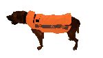 GILET PROTETTIVO - marca KONUS - modello 0321 INTEGREX DOG PROTECTION  7378