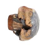 PALLE - marca NOSLER - modello 30165 Sp Ballistic Tip - calibro 308 (308